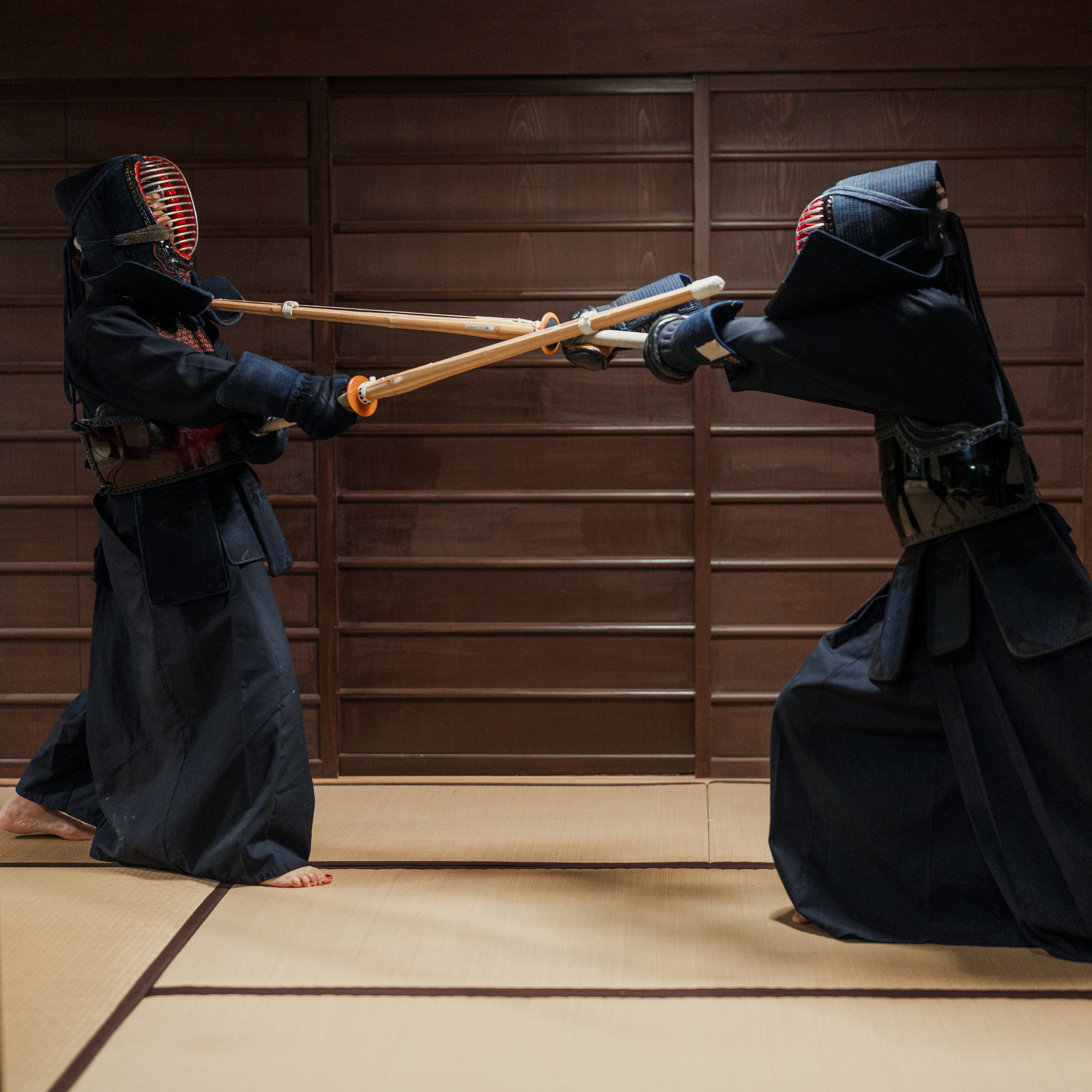 Die Reise der Samurai der Disziplin - 武者修行 (Musha Shugyo)