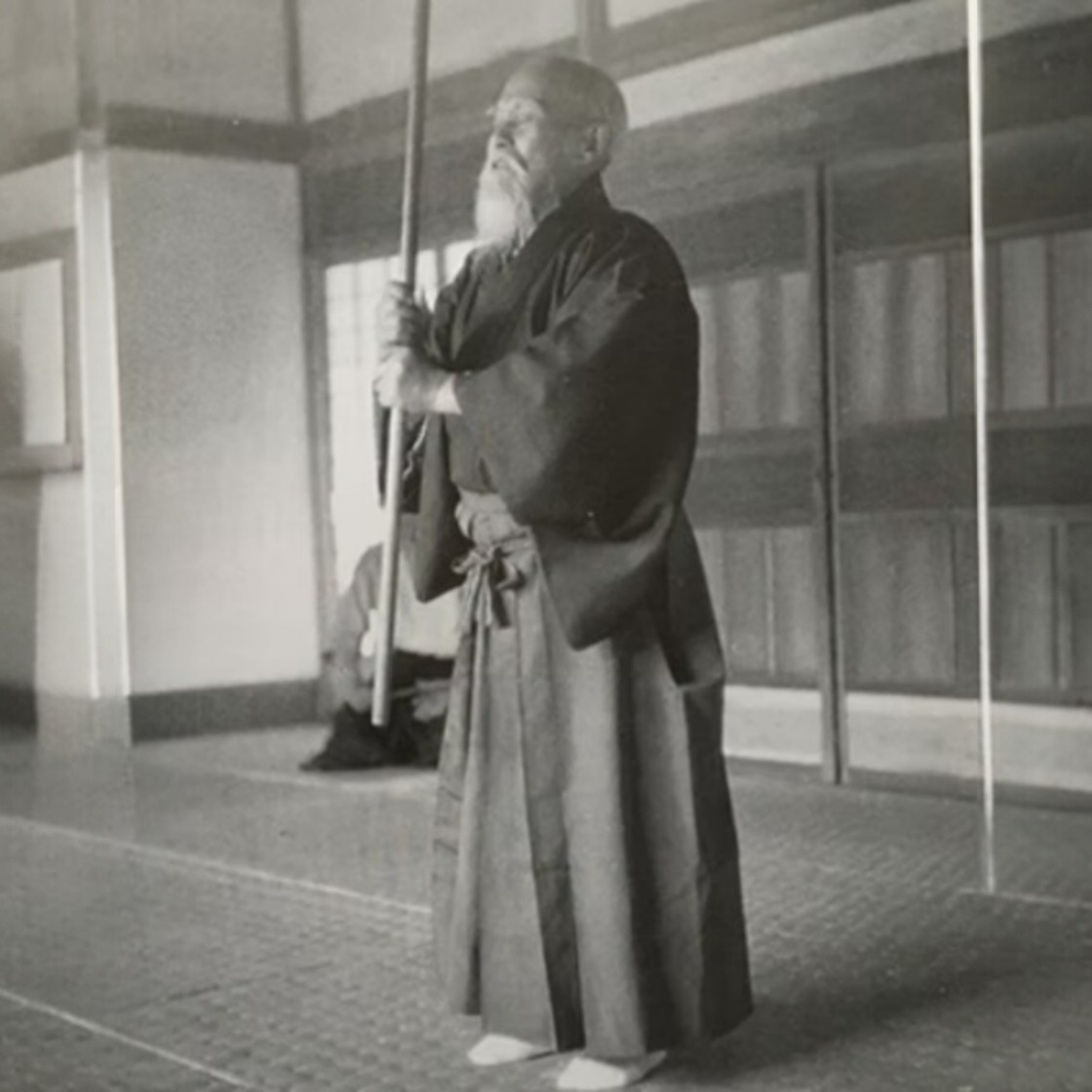 Die kreative Kraft des Aikido — 武産合気 (Takemusu Aiki) von Yuka